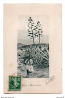 (Algérie) 108, Le Panneau Artistique 93, Aloës En Fleurs - Bambini