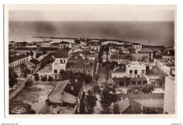 (Algérie) 551, Mostaganem, Sturacci, Avenure Raynal - Mostaganem