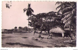 (Guinée Française) 018, Guinée Conakry, Constantin 847, Case Indigène Sur La Corniche - Guinée Française