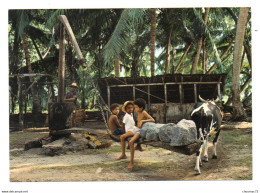 Seychelles 002, Photo Eden 126, Processing Coconut Oil At La Digue - Seychellen