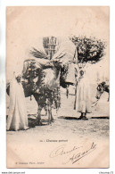 (Algérie) 095, Chausse Phot 12, Chameau Porteur, Dos Non Divisé - Beroepen