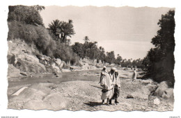 (Algérie) 107, L'Afrique Du Nord Pittoresque, Sirecky 109, Promenade Dans L'Oued - Hommes