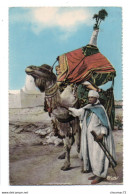 (Algérie) 096, Collection Artistique L'Afrique, Combier 506, Types Du Sud, Un Bassour - Hommes