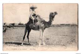 (Algérie) 130, ND Phot 21 A, Chambba Et Son Mehari - Berufe