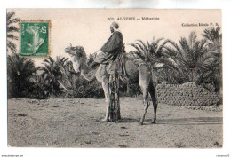 (Algérie) 120, Collection Ideale PS 305, Méhariste - Uomini