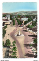 (Algérie) 038, Philippeville, Sirecky 38, Les Allées Barrot, Monument Du 3e Zouaves - Skikda (Philippeville)