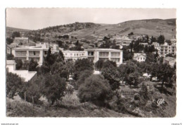 (Algérie) 460, Souk-Ahras, CAP 2, Le Frais Vallon - Souk Ahras