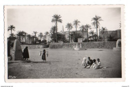 (Algérie) 303, Ghardaia, Combier, Les Puits Dans L'Oued - Ghardaïa