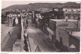 (Algérie) 082, Tebessa, Editions Photo Africains 12, Porte Caracalla Et Les Remparts - Tébessa