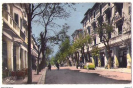 (Algérie) 267, Sétif, Combier 1 Bis, Avenue Principale Georges Clemenceau - Setif