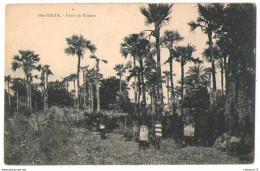 Burkina Faso 004, Haute-Volta, Foret De Roniers - Burkina Faso