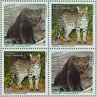 C 3217 Brazil Stamp Fauna Moorish Cat And Ocelot Feline 2012 Block Of 4 - Neufs