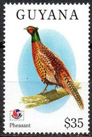 GUYANA - 1v - MNH - Pheasant - Faisan - Fagiano Fasan Oiseaux Birds - Aves - Vögel - Uccelli - Pheasants - Faisans - Galline & Gallinaceo