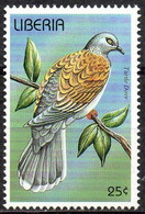 LIBERIA 1996 - 1v - MNH - Turtle Dove - Birds - Oiseaux Aves Vögel Птицы 鸟类 Uccelli Pájaros - Pigeons & Columbiformes