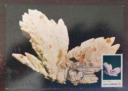 ROUMANIE Mineraux, Fossiles.série Yvert N°3627/32: Oblitération Temporaire Illustrée "E.M. CAVNIC" 07/08/1988 (E) - Minerals