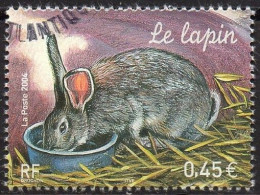 FRANCE 2004 - 1v - Used - Oblitéré - Lapin - Rabbit - Kaninchen - Conejo - Coniglio - Rabbits - Lapins - Conigli - - Rabbits