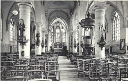 Berlare :binnenzicht Der Kerk - Berlare