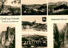 72639480 Sebnitz Kunstblumen Panorama Sebnitz - Sebnitz