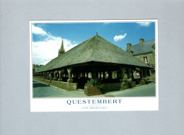 Questembert (56) : Les Halles Et L'église - Questembert