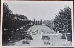 17 + PONT-l'ABBE-d'ARNOULT - Château De La Chaume - Le Jardin Français - Pont-l'Abbé-d'Arnoult