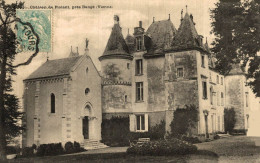 CHATEAU DE PIOLANT PRES DANGE - Dange Saint Romain