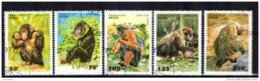 Animaux Singes Bénin 1995 (2) Yvert N° 708N à 708S Oblitérés Used - Monkeys
