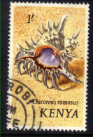 Kenya 1971 - 74 QE2 1/- Shells Chicoreus Ramosus Used SG 47 ( C67 ) - Kenya (1963-...)