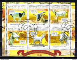 Animaux Chèvres Guinée 2010 (344) Yvert N° 5176 à 5181 Oblitérés Used - Farm