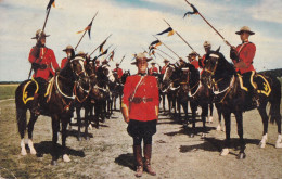 A24316 - ROYAL CANADIAN  MOUNTED POLICE MUSICAL RIDE  POSTCARD USED - Polizei - Gendarmerie