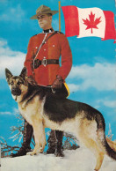 A24314 - ROYAL CANADIAN  MOUNTED POLICE  POLICEMAN WITH DOG   POSTCARD UNUSED - Politie-Rijkswacht