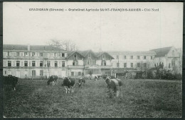 33 - DB52294CPA - GRADIGNAN - Orphelinat Agricole Saint François Xavier - Parfait état - GIRONDE - Gradignan