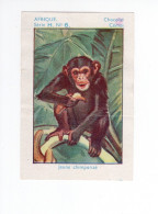 Chromo Afrique Occidentale Jeune Chimpanzé Chocolat CEMOI  Bien 75 X 50 Mm Colonies Françaises - Otros & Sin Clasificación