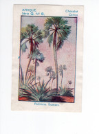 Chromo Afrique Equatoriale Palmiers Romers Chocolat CEMOI  Bien 75 X 50 Mm Colonies Françaises - Other & Unclassified