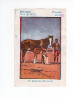 Chromo Afrique Equatoriale Au Haras De Berberati Chocolat CEMOI  Bien 75 X 50 Mm Colonies Françaises - Autres & Non Classés