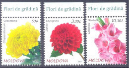 2023. Moldova, Flora Of Moldova, Garden Flowers, 3v,  Mint/** - Moldavie