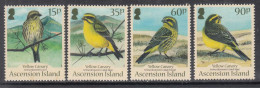 2010 Ascension Birds Oiseaux  Complete Set Of 4 MNH - Ascension (Ile De L')