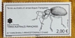 Taaf Terres Australes 2015  Neuf **  - Ectemnorhinus - (Crozet) - Unused Stamps