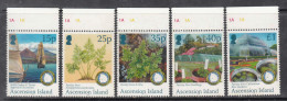 2011 Ascension Parsley Fern Plants  Complete Set Of 5 MNH - Ascension (Ile De L')