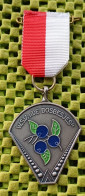 Medaille -W.S.V. De Bosbesjes Groesbeek  -  Original Foto  !!  Medallion  Dutch - Autres & Non Classés