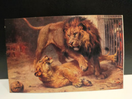 Leone,Lion Paul Meyerheim 1910(RIPRODUZIONE) - Lions