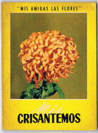 Mis Amigas Las Flores. Mis Crisantemos - Práctico