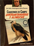 Cuadernos De Campo No. 16. Quebrantahuesos Y Alimoche - Félix Rodríguez De La Fuente - Práctico