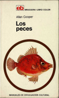 Los Peces - Allan Cooper - Practical