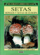 El Gran Libro De Las Setas, Hongos Y Setas De Europa - Georges Becker - Lifestyle