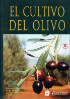 El Cultivo Del Olivo - Diego Barranco, Ricardo Fernández-Escobar, Luis Rallo - Práctico