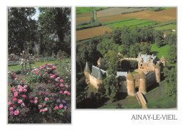 18-AINAY LE VIEIL-N°C-4346-D/0093 - Ainay-le-Vieil