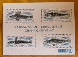 Terres Australes Et Antarctiques Francaises YV F 732 N 2015  - Poissons De Terre Adélie - Blokken & Velletjes