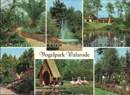 72542635 Walsrode Lueneburger Heide Vogelpark Walsrode - Walsrode