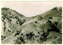 64 - CM53741CPM - SAINT ETIENNE DE BAIGORRY - Le Col D'ISPEGUY - Très Bon état - PYRENEES-ATLANTIQUES - Saint Etienne De Baigorry