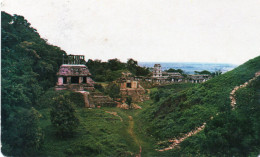 CPM - P - MEXIQUE - PALENQUE - TEMPLO DEL SOL Y EL PALACIO - Mexique